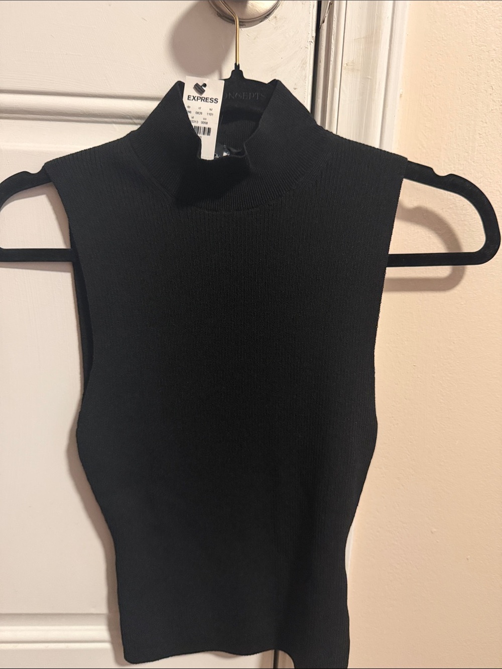 Express Black Sleeveless Mock Neck Camisole